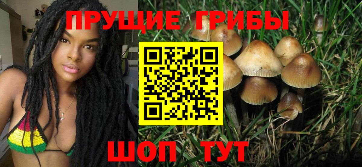 Псилоцибиновые грибы мухоморы  Вход с VPN  Сосновоборск  Галлюциногенные грибы GOLDEN TEACHER 