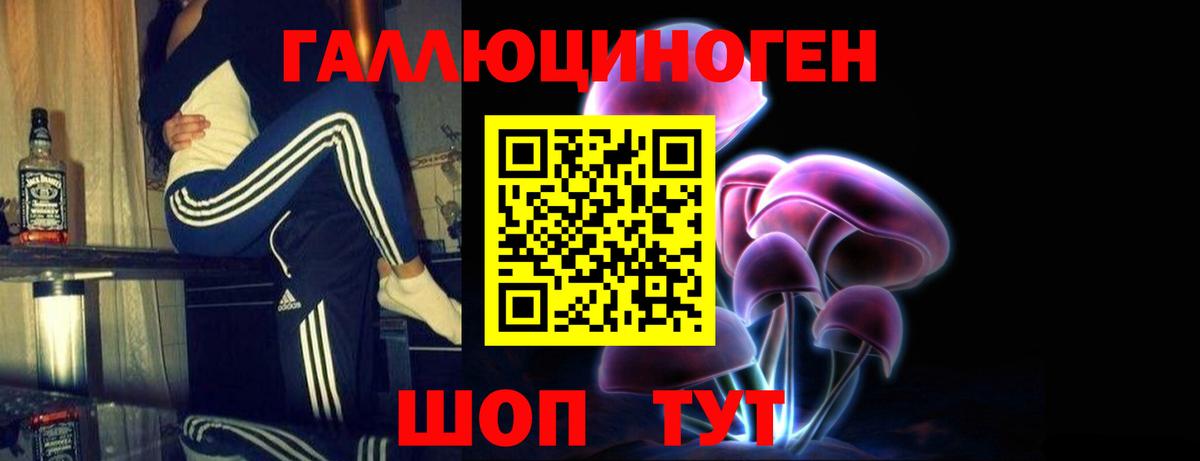 Галлюциногенные грибы Psilocybine cubensis Сосновоборск